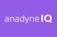 Anadyne IQ New Zealand AI Consultancy
