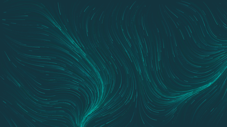 NZT Flowfield 01