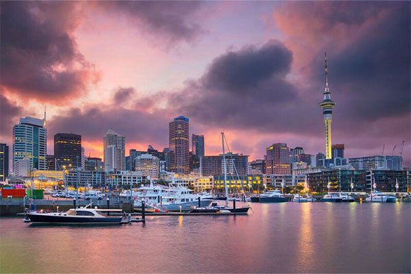 TW partners Page Auckland 600x400