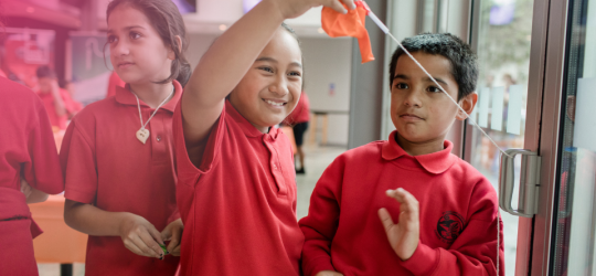 Developing Careers and Skills   pink glow